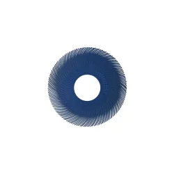 Abrasives Dedeco Sunburst – 6 In. TC Radial Discs – 1 In. Arbor – Thermoplastic Cleaning And Polishing Tool, Fine 400-Grit (40-Pack)